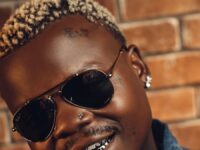 harmonize